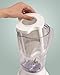 Hamilton Beach Blender with 56 oz Jar & Aguas Fresca Strainer, White (50162)