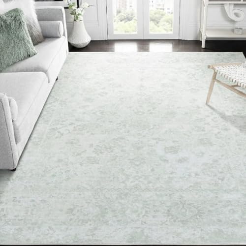 Auemtyn Area Rug