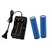 2PcsX 18650 2200mAh 3.7V Rechargeable Lithium Battery with 1Pc Li-ion Battery Charger