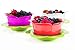 Zak Designs Garden Series 24 oz. Plastic Colanders, Kiwi