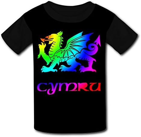 Wcpol Cymru Red Dragon Welsch Flag Children's 3D Print T-Shirt Top Tees Short Sleeve for Boys S