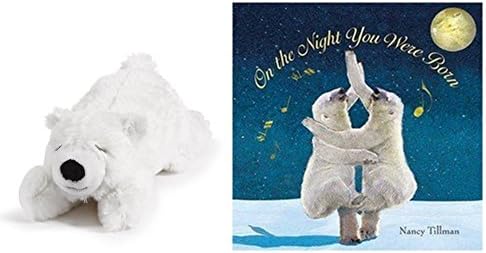 Demdaco Nancy Tillman On The Night You Were Born Board Book and Polar Bear Rattle Set