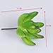 Robibabi Artificial Flower, Pack of 5 Assorted Artificial Echeveria Succulent Picks in Flocked Green and Green 4