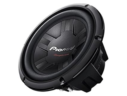 pioneer 10 inch speaker