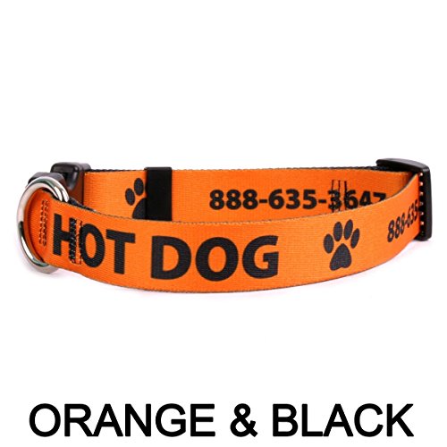 Personalized Dog Collar with Custom HiDef Text and Art, an Embroidered