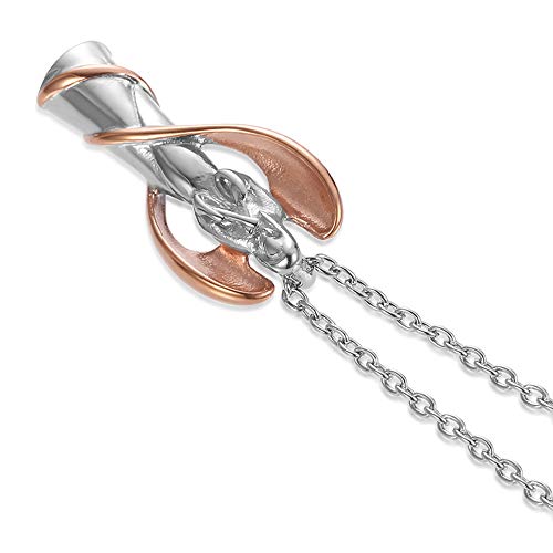 Gisunye Cremation Urn Necklace for Ashes Angel Wing Keepsake Locket