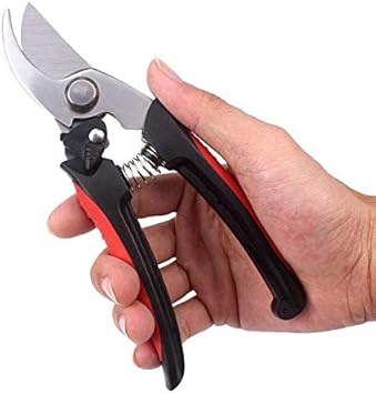 Amazon Kiukiu 園芸用はさみ 剪定鋏 ナイフ ハサミ 園芸用品 農作業 家庭菜園 果樹 庭木 ガーデニング 切れ味 抜群 おしゃれ 長持ち 軽量 園芸用はさみ