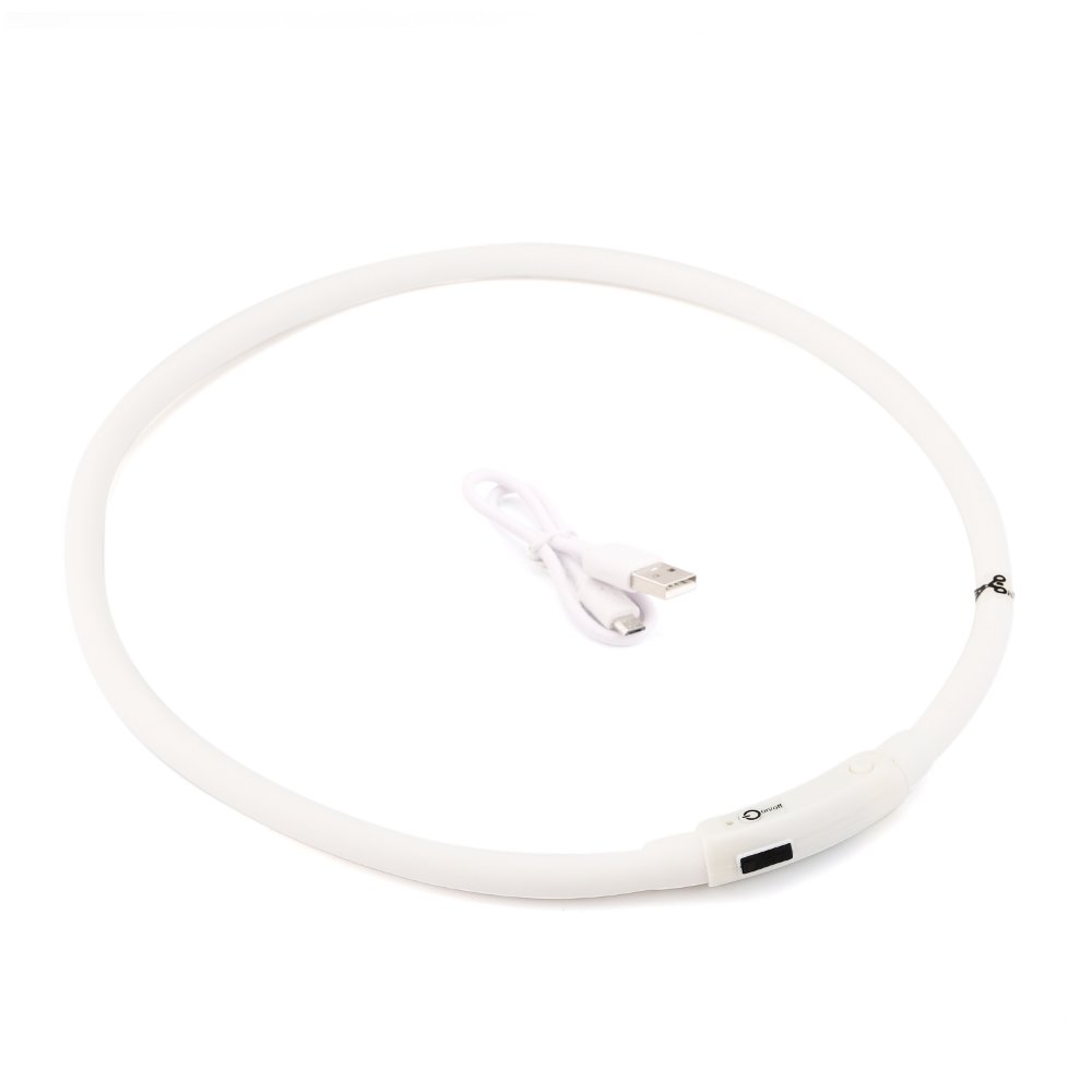 ZOGIN Collar de perro LED, collar de seguridad recargable USB para perro gato y otro animal doméstico, color blanco