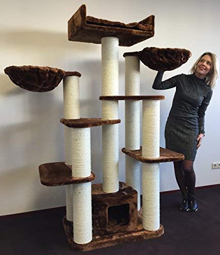 best cat tree for extra large cats