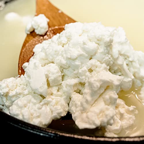 Cultures for Health Mesophilic Cheese Starter Culture Cream Cheese