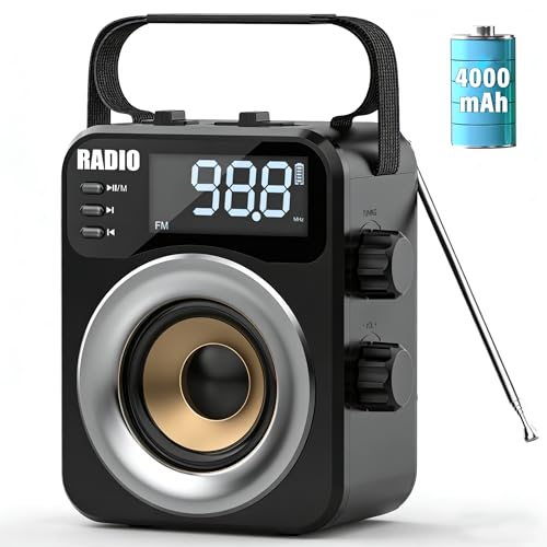 Portable AM/FM/WB/SW Radio