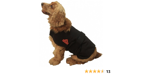 heated dog coat