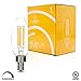 Hudson Lighting Dimmable LED Candelabra Bulb- 1 PACK- UL Listed- 5 Watt- 450 Lumen- E12 Led Bulbs Base- 2700K- Indoor or Outdoor