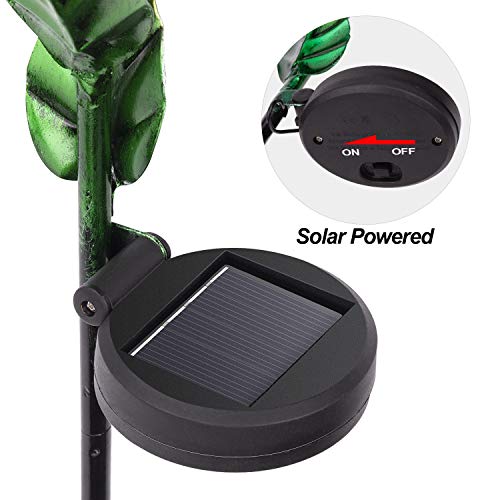 LeiDrail Rain Gauge Outdoor Solar Powered Garden LED Lights 5 Inch Capacity Fairy Decorative Metal Stake Waterproof Large Glass Large Tube for Yard Lawn Pathway