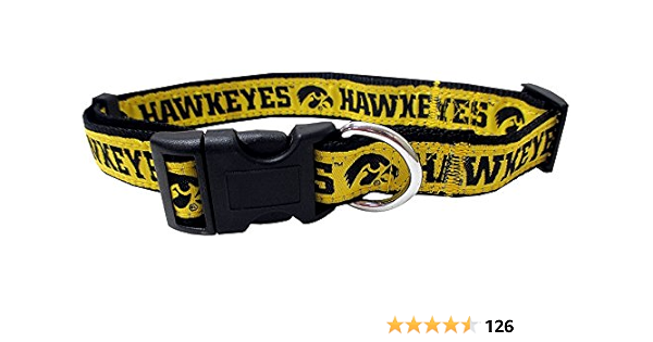 iowa hawkeye dog harness