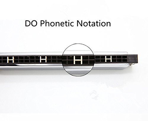 Blues Harmonica, C Key 24 Holes Major Diatonic Double Tremolo, Harmonica Musical Instrument Accessories for Children, Student, Adult Beginner with Case, with Tone Mark (silver)