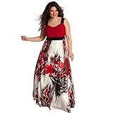 Plus Size Dress Women,Hemlock Women Long Evening Party Dress (2XL, Red)