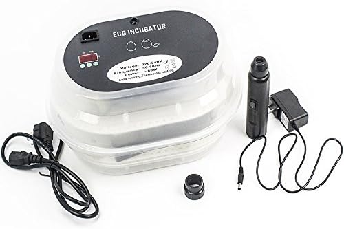 Chicken Egg Incubator,Digital Clear Egg Incubator Hatcher Turning Temperature Control for chicken duck goose birds with Egg Candler Tester(12 eggs)---WENDSIM