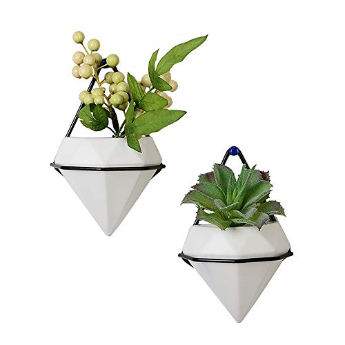 2 Pack Wall Planters for Indoor Plants, Geometric Wall Vases Decor, Succulent Air Plants Trigg Ceramic Pots Holder with Black Iron Frame, Small Faux Plant Containers White Modern Decor for Home