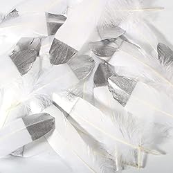 THARAHT 60pcs White Goose Feathers Natural Bulk 6-8