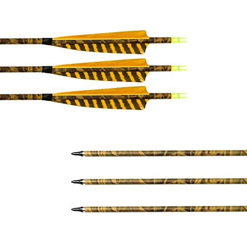 ARCHERY SHARLY [6 Pack] 31Inch Carbon Arrow Practice Hunting Arrows with 5" Camo Natural Feathers for Traditional Recurve Bow and Longbow