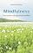 Livro Mindfulness Informal: Atenção Plena para quem Não gosta de Meditar