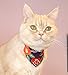 Kimono Cat Bandana Collar (Purple) with Bell Safety Breakaway Soft Lightweight for Cats Kitty Kitten Japanese Stylish Pattern, No.1 Seller in Japan