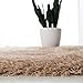 SAFAVIEH Venice Shag Collection Accent Rug - 3' x 5', Champagne, Handmade Glam, 3-inch Thick Ideal for High Traffic Areas in Entryway, Living Room, Bedroom (SG256C)