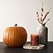 Illuminations Pumpkin Spice Deluxe Signature Scented Candle 10 oz Luxury Holiday Fragrance Versionthumb 2