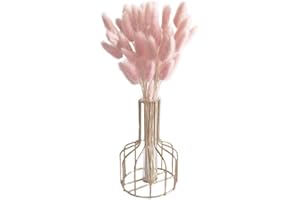 Dried Bunny Tail Flower Natural Rabbit Tail Dried Flower Bouquet Pampas Grass Decor for Home Decor 50PCS 50 cm Light