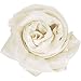 Faskelin Soft Lightweight Sheer Scarf - Long and Large Solid Color Scarfs for Women and Girls