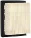Tecumseh 36046 Air Filter primary