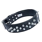 Angel Pet Supplies - Amsterdam Spiked Dog