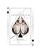 Angelarium Playing Cards - Enochian