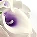 Muyee 20 Pcs Artificial Calla Lily Flowes Real Touch Fake Flowers Wedding Bouquets Valentines Day Decorations(Purple White)