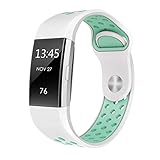 SWEES Silicone Sport Bands Compatible Fitbit Charge 2, Breathable Sport Replacement Bands with Air Holes Small & Large (5.7