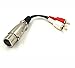 Birsppy BesYee XLR Y Splitter Patch Cable, 1 XLR Female to 2 RCA Male Adapter Cable 6inch (XLRFM-2RCAM)