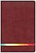 NIV Rainbow Study Bible, Maroon LeatherTouch