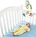 Fisher-Price Woodland Friends 3-in-1 Musical Mobile