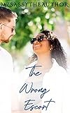 The Wrong Escort: A Secret Baby Romance