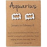 Gold Silver Plated Zodiac Stud Earrings 12 Constellation Birth Months Tiny Astrology Horoscope Stud Earrings for Women Birthday Gifts