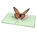 Lovepop Butterfly Pop Up Card, 5x7-3D Greeting Card, Mother's Day Card, Card for Wife or Mom, Anniversary Pop Up Card, Pop Up Birthday Card