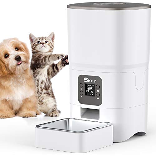 dual automatic cat feeder