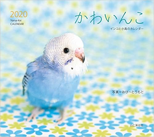 カレンダー2020 かわいんこ インコと小鳥のカレンダー (ヤマケイカレンダー2020) (日本語) カレンダー – 2019/9/9