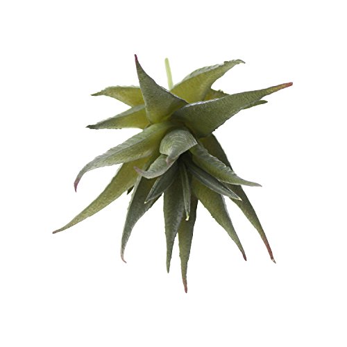 Goodma 3 Pieces Realistic Artificial Aloe Faux Succulent Textured Spiky Green Haworthia Cactus Plants Unpotted (Deep Green)