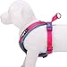 Blueberry Pet 4 Colors Soft & Comfy Summer Hope 3M Reflective Padded Dog Harness Vest, Chest Girth 20.5