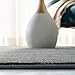 SAFAVIEH Vision Collection Accent Rug - 3' x 5', Grey, Modern Ombre Tonal Chic Design, Non-Shedding & Easy Care, Ideal for High Traffic Areas in Entryway, Living Room, Bedroom (VSN606D)