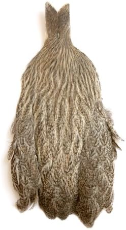 Whiting Farms Coq de Leon Hen Cape
