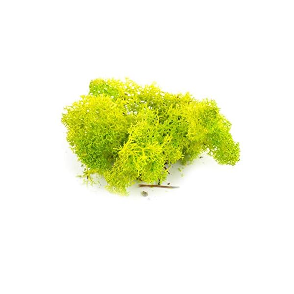 War World Scenics Lichen Flechte Modell Moos Laub Multipacks 3 x 20g (HellgrÃ¼n, DunkelgrÃ¼n, Braun) - Railway Wargame Tabletop GelÃ¤nde Landschaft Baum Busch Hecke Diorama Basing – Bild 3