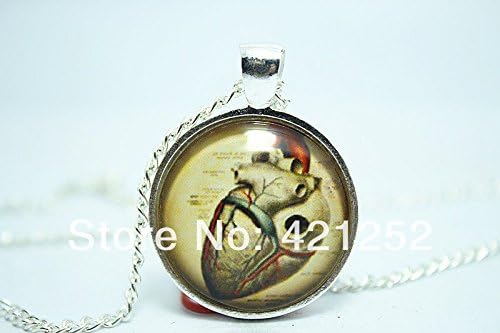 Pretty Lee 2015 Fashion Anatomical Heart Necklace Anatomy Jewelry Glass Cabochon Necklace Christmas gift